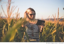 923078800 | 게티이미지코리아 | Sunset in the corn field with technology Royalty-Free 이미지