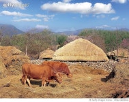 MIWA18000945 | 게티이미지코리아 | 전남 순천시 낙안면 Rights-Managed 이미지