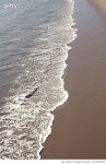 974935258 | 게티이미지코리아 | Water + Sand Royalty-Free 이미지
