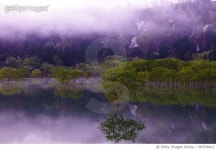 987938412 | 게티이미지코리아 | Morning Lake 2 Royalty-Free 이미지