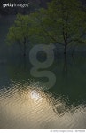 987954080 | 게티이미지코리아 | Morning Lake 3 Royalty-Free 이미지