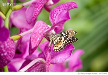 997274892 | 게티이미지코리아 | Down to the last drop Royalty-Free 이미지