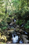 974475988 | 게티이미지코리아 | Fresh Water II Royalty-Free 이미지