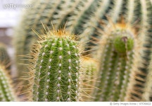 975768622 | 게티이미지코리아 | watch out! Royalty-Free 이미지