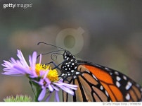 974386354 | 게티이미지코리아 | Good to the last drop Royalty-Free 이미지