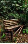 벤치 포레스트(Bench forest) | 1084645650 | 게티이미지코리아 | Wooden Bench On Field In Forest Royalty-Free 이미지
