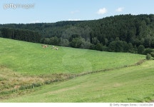 1124311294 | 게티이미지코리아 | Geometry Of Landscapes Royalty-Free 이미지