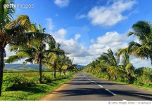 1124454234 | 게티이미지코리아 | Landscapes Image Royalty-Free 이미지