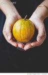 1124455624 | 게티이미지코리아 | Ripe Eggfruit-Lucuma Fruit Royalty-Free 이미지
