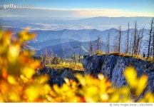 1091380936 | 게티이미지코리아 | Mountain Views with Fall Foliage Aspens Royalty-Free 이미지