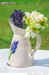 1129941947 | 게티이미지코리아 | Freesias and lavenders in vase Royalty-Free 이미지