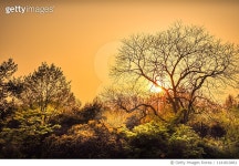 1141810461 | 게티이미지코리아 |  Royalty-Free 이미지 