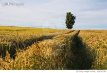 1141852388 | 게티이미지코리아 | Very Early Sunday Morning Royalty-Free 이미지