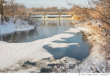 1149502309 | 게티이미지코리아 | Winter Forest, Grove, Trees In The Snow, Frozen River Royalty-Free 이미지