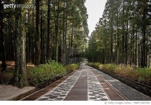 MBRF19007081 | 게티이미지코리아 | VA104 제주 절물자연휴양림 Royalty-Free 이미지