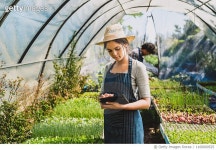 1160000525 | 게티이미지코리아 | She keeps a record of all her crops Royalty-Free 이미지