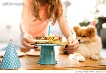 1162416360 | 게티이미지코리아 | Pet birthday gourmet cake Royalty-Free 이미지