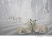 MZFMD19000064 | 게티이미지코리아 | Antic and Lambs Oil on canvas 91.0 x 80 2013 Rights-Managed 이미지