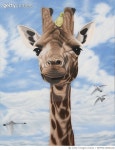 MZFMD19000106 | 게티이미지코리아 | Antic and Utopia Oil on canvas 145 x 97 cm 2012 Rights-Managed 이미지