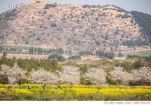 MBRF19014200 | 게티이미지코리아 | 녹산로 Royalty-Free 이미지