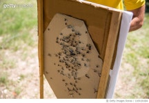 1169101684 | 게티이미지코리아 | Shooting range target Royalty-Free 이미지