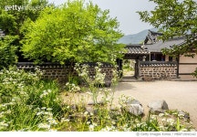 MBRF19016142 | 게티이미지코리아 | 망원,나리꽃,여름,고향,기와집,풍경 Royalty-Free 이미지