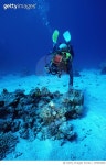 SP004900 | 게티이미지코리아 | Scuba Diving in Red Sea Royalty-Free 이미지