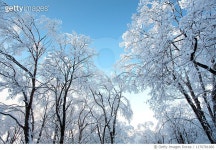 1170781066 | 게티이미지코리아 | Sunrise ditch NingShan county in shaanxi qinling snow Royalty-Free 이미지