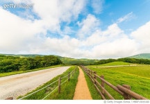 MBRF19019180 | 게티이미지코리아 | 목장 풍경 Royalty-Free 이미지