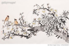 KFMK19000005 | 게티이미지코리아 | 박태규 Rights-Managed 이미지