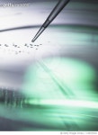 1178747024 | 게티이미지코리아 | Biotechnology research Royalty-Free 이미지