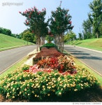 1200383410 | 게티이미지코리아 | Landscaped Boulevard Royalty-Free 이미지
