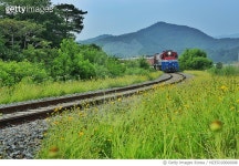 MZEJD20000008 | 게티이미지코리아 | VH519 아천역 금계국 Rights-Managed 이미지