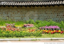 MAHA20000784 | 게티이미지코리아 | 덕수궁 돌담정원 Rights-Managed 이미지