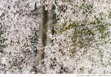 MBRF20003123 | 게티이미지코리아 | 충남 서산시 운산면 농협목장 Royalty-Free 이미지