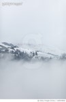 1209078984 | 게티이미지코리아 | Nebel im Wald Royalty-Free 이미지