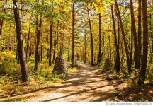 MBRF20005731 | 게티이미지코리아 | 노추산 모정탑길 Royalty-Free 이미지