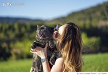 1217390041 | 게티이미지코리아 | Beautiful woman with her pet french bulldog Royalty-Free 이미지