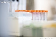 1224327713 | 게티이미지코리아 | Plastic viles in a biotech science lab Royalty-Free 이미지
