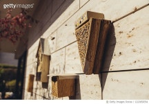 1223858794 | 게티이미지코리아 | Bee hotel being visited by bees Royalty-Free 이미지