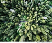 1285611963 | 게티이미지코리아 | winding road in the middle of the forest Royalty-Free 이미지