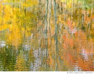 1283794217 | 게티이미지코리아 | Autumn Reflections on a Lake Royalty-Free 이미지