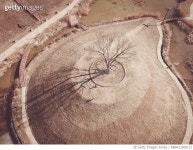 MBRF21005112 | 게티이미지코리아 | 영월 느티나무 Royalty-Free 이미지