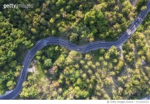 1313424723 | 게티이미지코리아 | Aerial View Of winding road amidst pine forest. Royalty-Free 이미지
