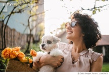 1318878173 | 게티이미지코리아 | Woman holding a dog Royalty-Free 이미지