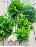 1365390362 | 게티이미지코리아 | Fresh homemade greens from the garden Selective focus Royalty-Free 이미지