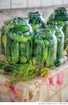 1367414849 | 게티이미지코리아 | Preservation of fresh house cucumbers Selective focus Royalty-Free 이미지