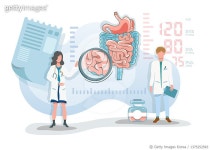 1375252583 | 게티이미지코리아 | Flat vector illustration two doctor discribing digestive system Royalty-Free 이미지
