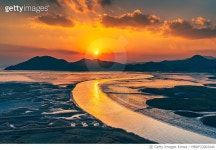 MBRF22003446 | 게티이미지코리아 | 순천만습지 일몰, 전라남도 순천시 Royalty-Free 이미지