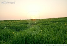 MBRF22004623 | 게티이미지코리아 | 고창,아름다운 풍경 Royalty-Free 이미지